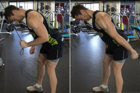 tricep kickbacks cable|Cable Triceps Kickbacks: Master Your Form for。